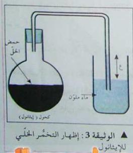 الملخص التخمر الزبدي